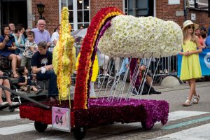 de-neervennekes_wisselvallige-zomer_2016