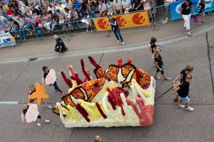 red-het-rif_noordhoek_2016