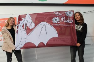 Buurtschap De Miekes - Bloemencorso Loenhout