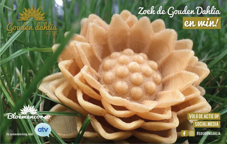 Zoektocht Gouden Dahlia