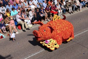 Kinderwagen Bloemencorso Loenhout 2018