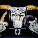 Buurtschap BTM – Pronkstukken