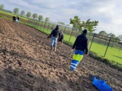 Voorbereidingen Corso 2021 gestart