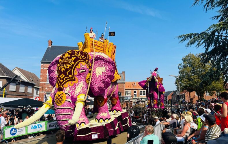 Buurtschap Notelaar winnaar 71e editie Bloemencorso Loenhout